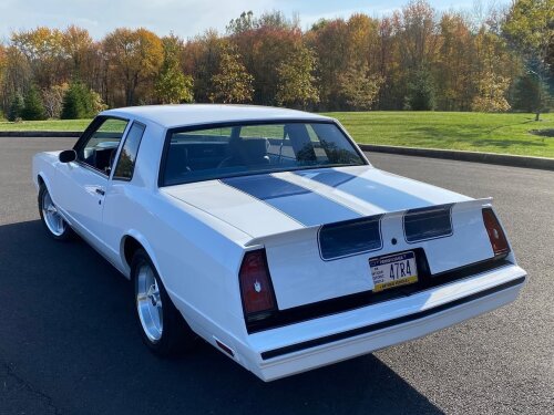1984 Monte Carlo